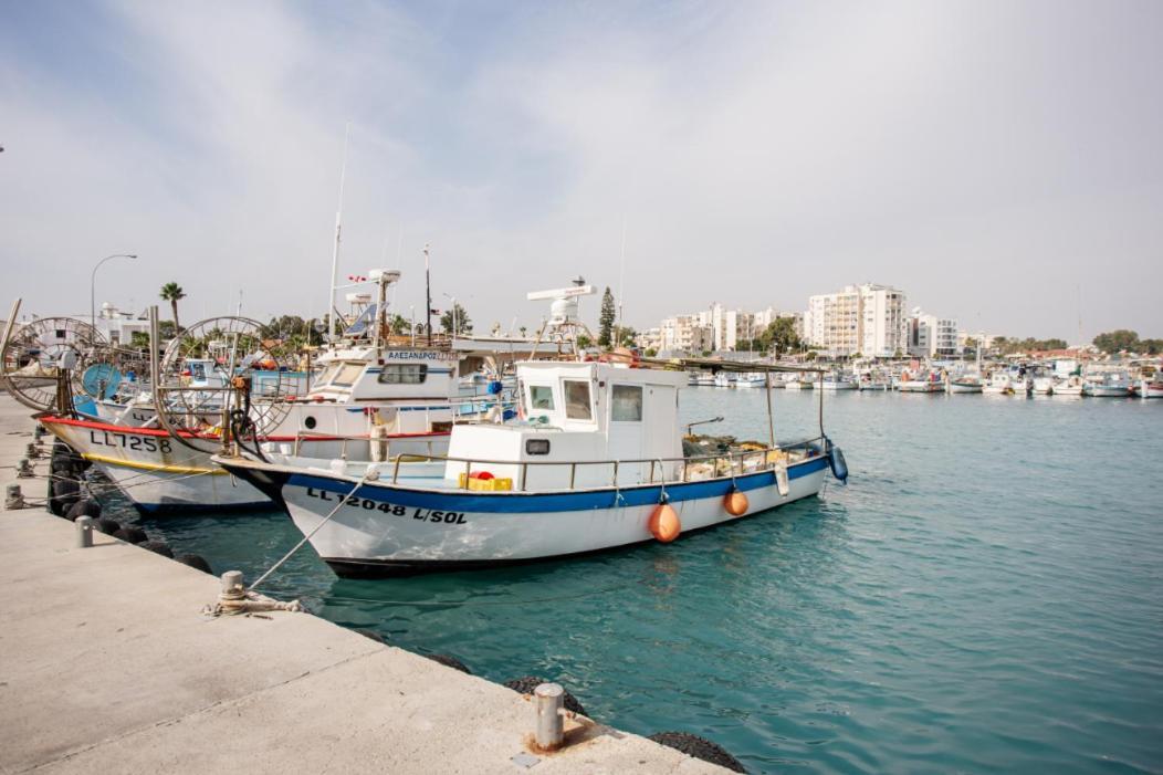 דירות לרנקה Olive Island מראה חיצוני תמונה